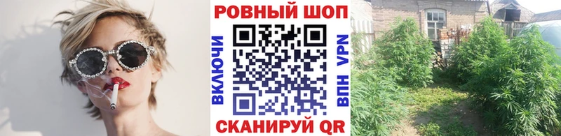 Купить Жиздра Cocaine  СОЛЬ  Марихуана  Гашиш 