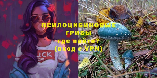 СК Вязьма