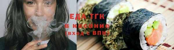 СК Вязьма