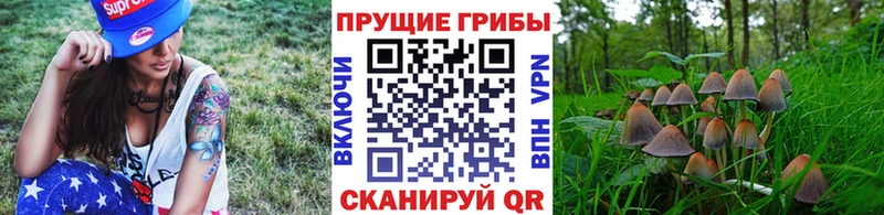 Галлюциногенные грибы ЛСД Жиздра